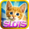 Slots Kitty and Cat – Free Casino