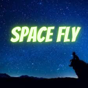 Space Flay
