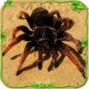 Spider Simulator – Creepy Tad