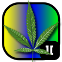 Stoner Slots ][ Elevated Weed