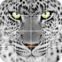 Tile puzzle Wild animals