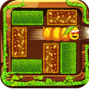Unblock – Worms Rescue