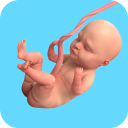 Virtual Pregnant Mother Game