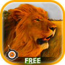 Wild Lion Shooting