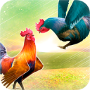 Wild Rooster Run – Frenzy Chicken Farm Race