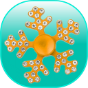 Xmas Spinner – Fidget Spinner – New Year Game