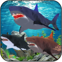 shark racing: sharks game